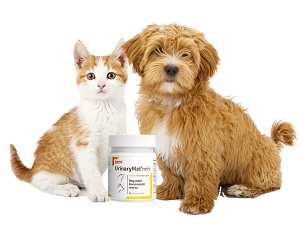 vitamins for dogs and cats
