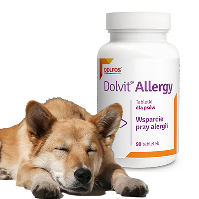 allergy pills for dogs