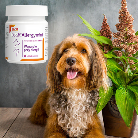+Dolvit allegry allegry for dog allergy