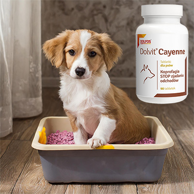 +Dolvit Cayene for coprophagia