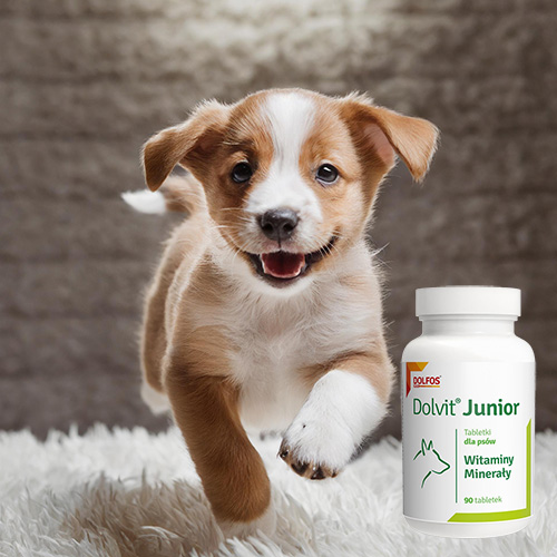 +Dolvit Junior Puppy Vitamins