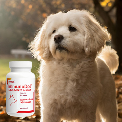 ImmunoDol dog vitamins for immunity