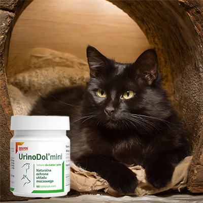 urinodole mini for cat's urinary tract