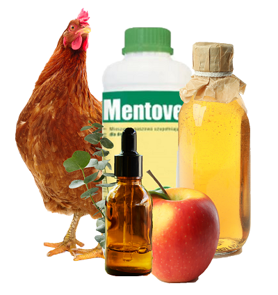 oils for chickens