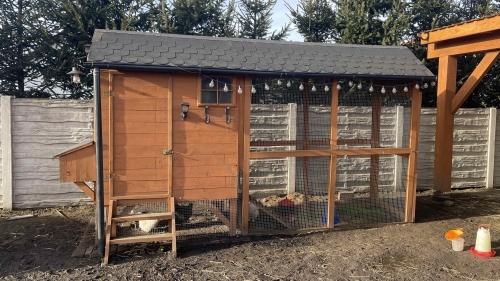 How to Insulate a Chicken Coop: Protecting Your Flock from Low Temperatures