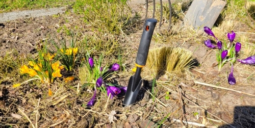 Preparing and Sowing Your Vegetable Garden in Spring
