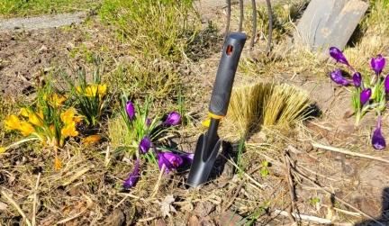 Preparing and Sowing Your Vegetable Garden in Spring