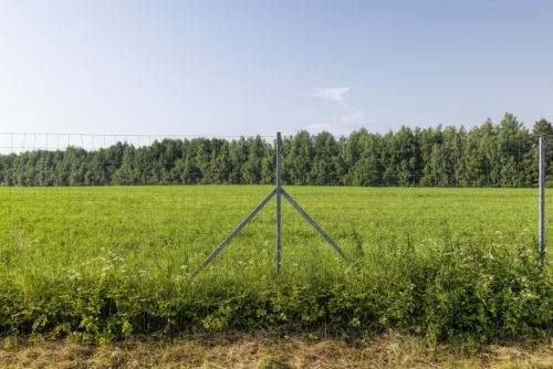 What should you know about building forest wire mesh fencing?