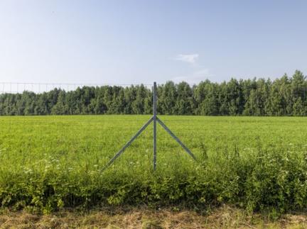 What should you know about building forest wire mesh fencing?