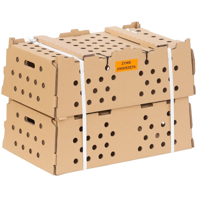transportation box for birds