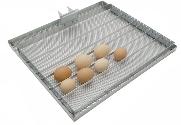 We build an incubator ourselves