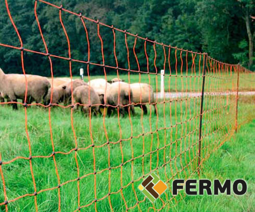 Electric fence for sheep