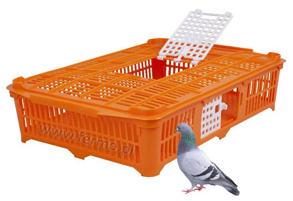 Pigeon cage