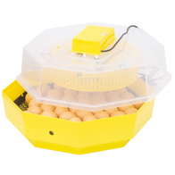 Eggs incubator iBator Home 60