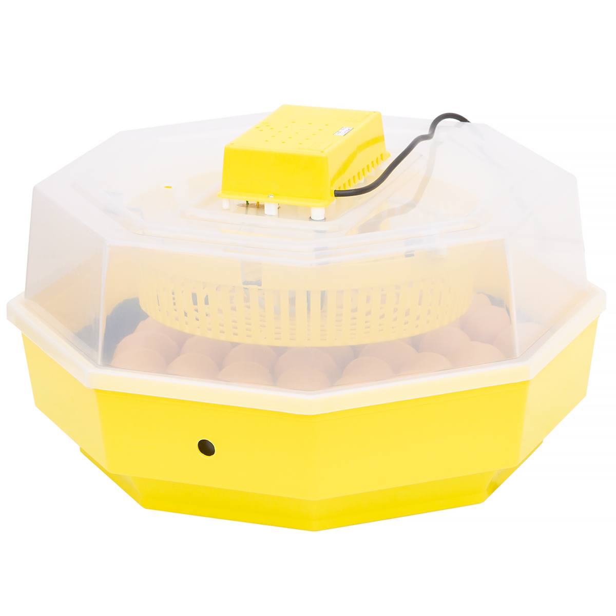 Eggs incubator iBator Home 60