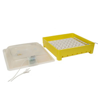 Home incubator iKar 42/120 AUTO