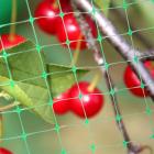 Bird net for the protection of blueberries and trees Protector 4.8 m x 50 m