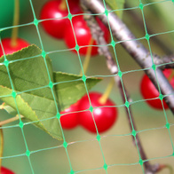 Protective net for fruit trees Protector 4,8 x 10 m