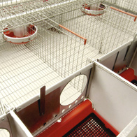 Cover strip for cage edges