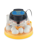 Mini ECO nesting incubator