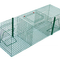 Trap live catch for ravens and crows, for live bait