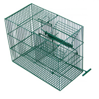 Automatic trap against small birds, live catch