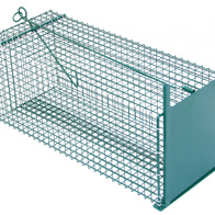 Single-entry trap with bait hook, for polecats, weasels, cats, 60 cm