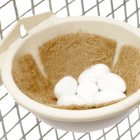 Artificial eggs for planting parakeets with filling - 10 pieces