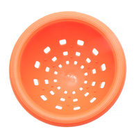 Nest for exotic birds without snags