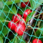 Woven mesh for protection against birds 4 x 5 m