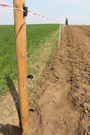 Insulator with latch for RUBAN-CLIP polytapes for wooden posts