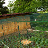 Hexagonal mesh 20mm PVC coated