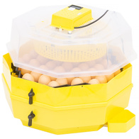 Hatching incubator iBator HOME 120 with display
