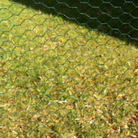 Mesh with hexagonal eyelet 25 mm PVC coated