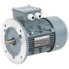 Motor 0,75 kW without gearbox for feed flex auger