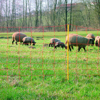 Mesh for electric fences - height 90 cm - double spitz - orange
