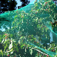 Woven mesh for protection against birds 4 x 5 m