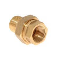 Straight brass screw GW GZ 1/2 inch