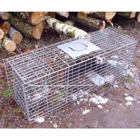 Trap for polecats, graces and martens single-entry 68 cm