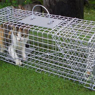 Cat trap - live catch 84 cm