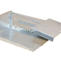 Live catch trap for small pests - 18 cm