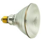 Bulb for Philips radiators 100WAT white - reinforced glass