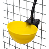 Cup drinker for poultry - automatic