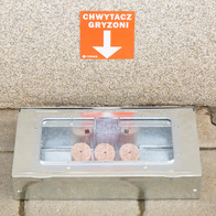 Wall sticker rodent catcher