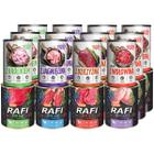 RAFI + TUF TUF wet food mix 24 x 800 g can