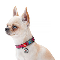Pink dog collar with QR tag motif WATERMELON 25-35 cm 15 mm S