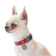Pink dog collar with QR tag motif WATERMELON 28-40 cm 20 mm M