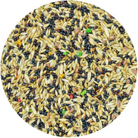 Canary feed Standard Vita-Organic MDM 10 kg