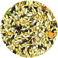 Canary feed Exclusive Vita-Organic MDM 10 kg