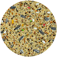 Food for small parrots Energy Taste Vita-Organic MDM 10 kg